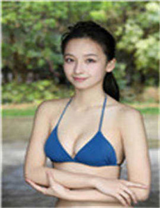 迪兹先生