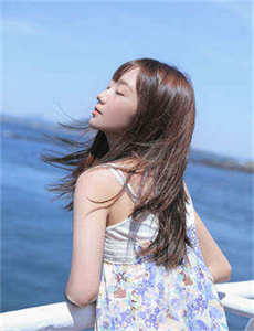 藏品2012