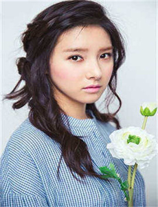 新女巡按