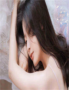 赘婿电视剧在哪里播放